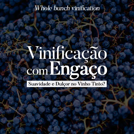Vinificação com Engaço - poderá promover suavidsde e dulçor no vinho tinto?