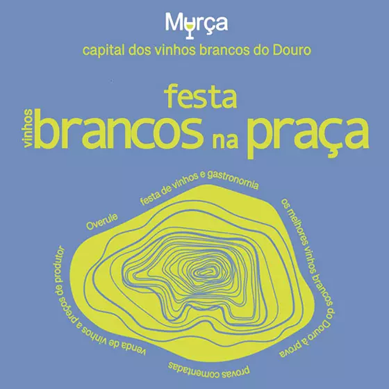 Garrafas de vinho branco em exposição na festa de Vinhos Brancos na Praça de Murça.